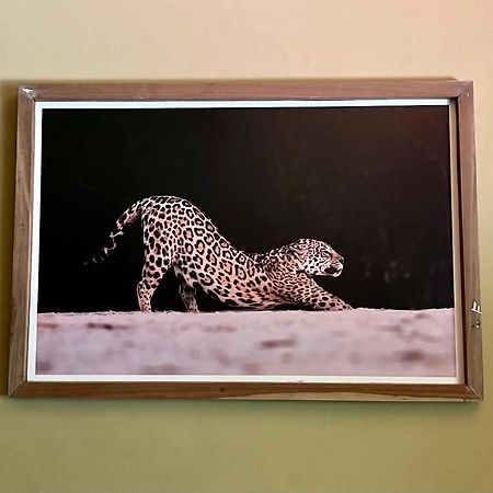 Вілла Casa Jaguar Пуерто-Іґуасу Екстер'єр фото